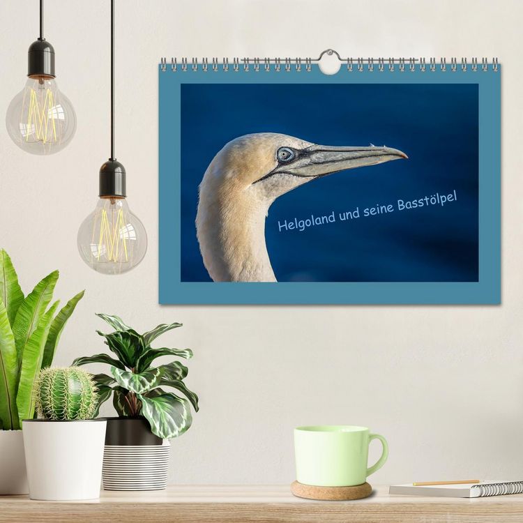 Produktbild: Helgoland und seine Basst&ouml;lpel (Wandkalender 2026 DIN A4 quer), CALVENDO Monatskalender