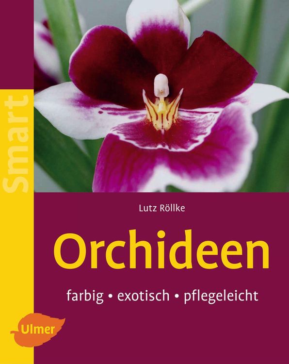 Bild vom Artikel Orchideen vom Autor Lutz Röllke