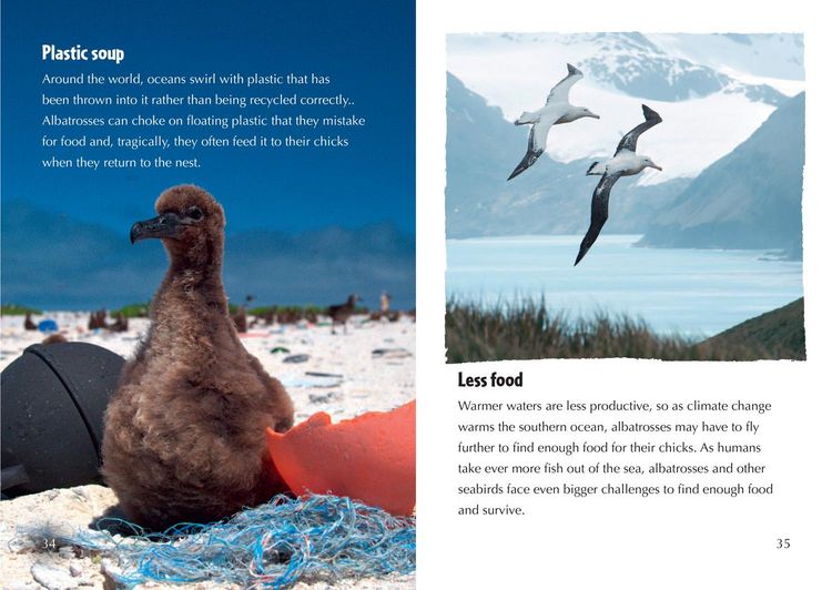 Produktbild: Collins Big Cat - The Story of Albatross