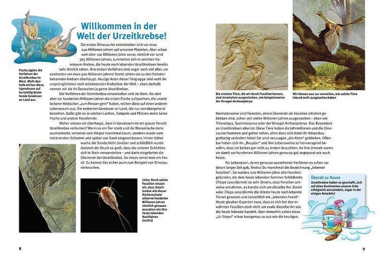 Produktbild: Entdecke die Urzeitkrebse
