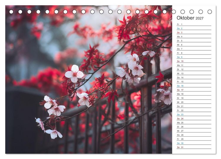Produktbild: Japanische Kirschbl&uuml;te (Tischkalender 2027 DIN A5 quer), CALVENDO Monatskalender