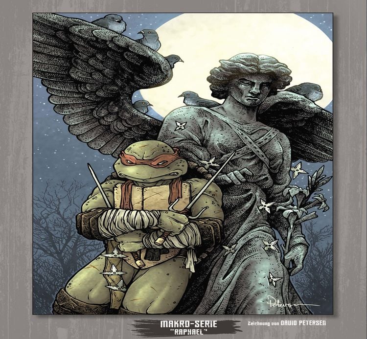 Produktbild: Teenage Mutant Ninja Turtles Splitter Collection 13