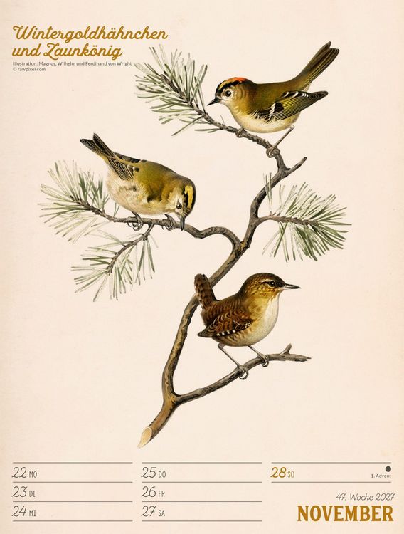 Produktbild: Wunderbare Vogelwelt Wochenplaner Kalender 2027