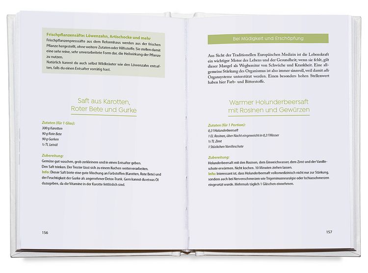 Produktbild: Das vegane Gesundheitsbuch