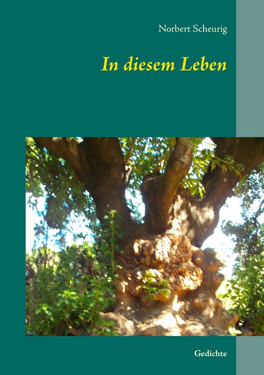Produktbild: In diesem Leben