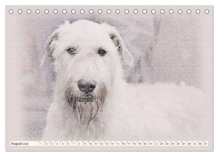 Produktbild: Windhunde 2026 (Tischkalender 2026 DIN A5 quer), CALVENDO Monatskalender