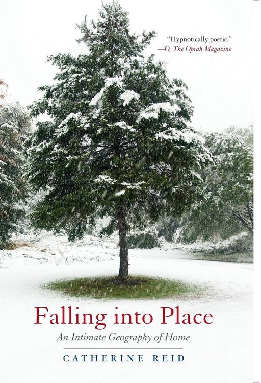 Produktbild: Falling into Place