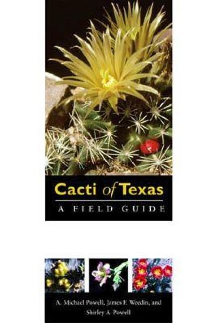 Produktbild: Cacti of Texas
