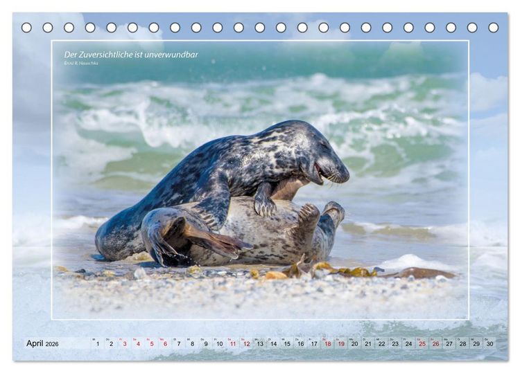 Produktbild: Insel Gedanken (Tischkalender 2026 DIN A5 quer), CALVENDO Monatskalender