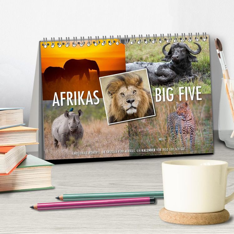 Produktbild: Emotionale Momente: Afrikas Big Five (Tischkalender 2026 DIN A5 quer), CALVENDO Monatskalender