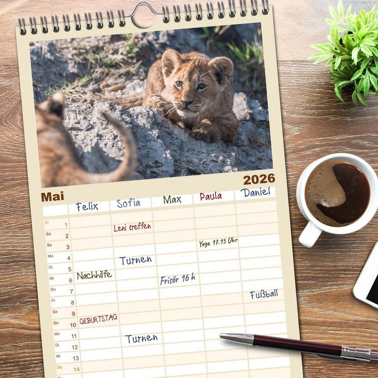Produktbild: Familienplaner 2026 - L&ouml;wen - Raubkatzen Afrikas mit 5 Spalten (Wandkalender, 21 x 45 cm) CALVENDO