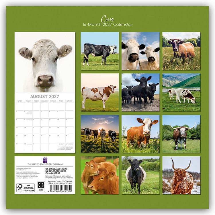 Produktbild: Cows &ndash; K&uuml;he 2027 &ndash; 16-Monatskalender