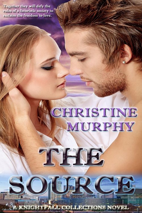 Produktbild: The Source (The Wild Clan Sagas, #1)