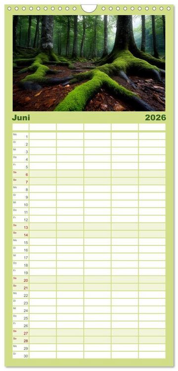 Produktbild: Familienplaner 2026 - Mystik der W&auml;lder mit 5 Spalten (Wandkalender, 21 x 45 cm) CALVENDO