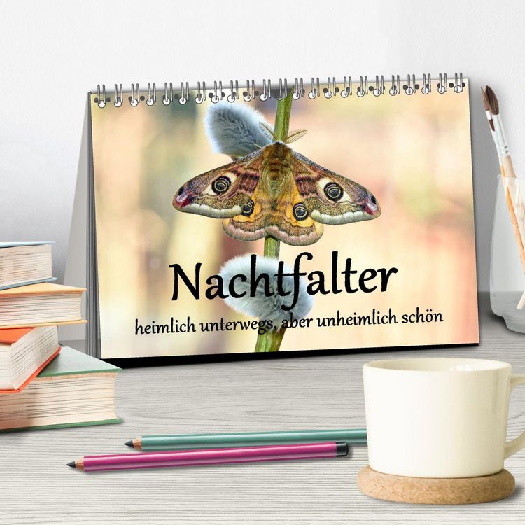 Produktbild: Nachtfalter - heimlich unterwegs, aber unheimlich sch&ouml;n (Tischkalender 2026 DIN A5 quer), CALVENDO Monatskalender