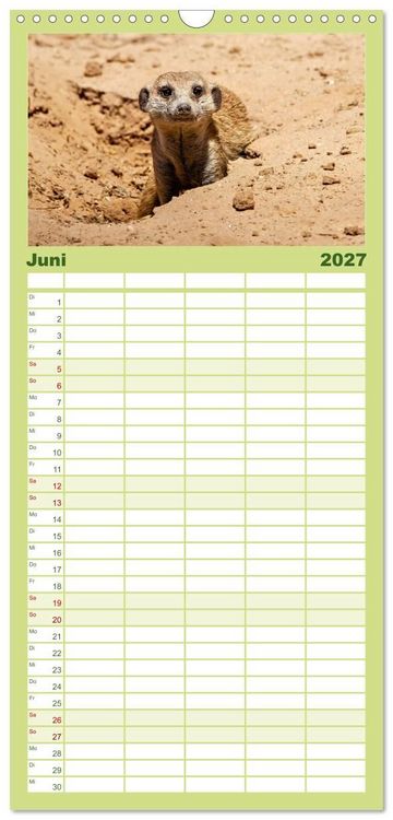 Produktbild: Familienplaner 2027 - Afrikas Tierwelt - Erdm&auml;nnchen mit 5 Spalten (Wandkalender, 21 x 45 cm) CALVENDO