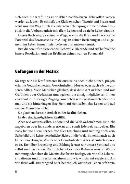 Produktbild: Die Revolution des Bewusstseins
