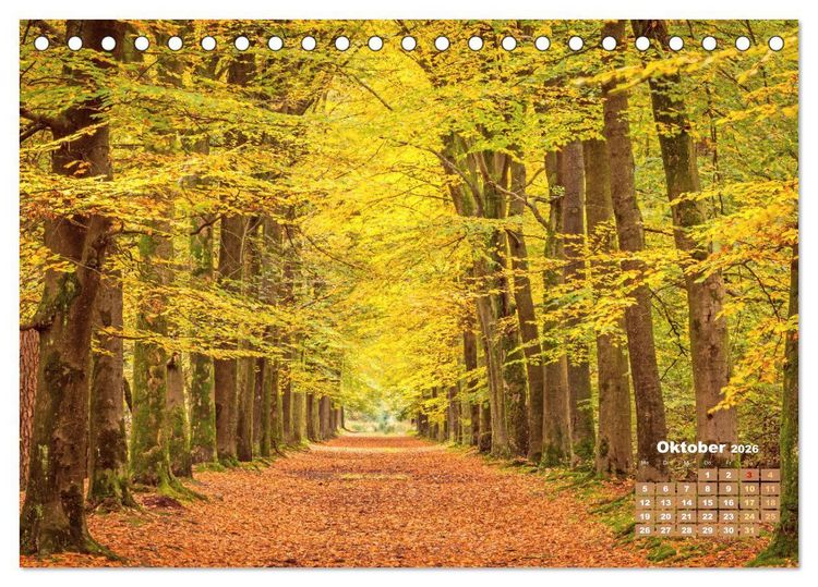 Produktbild: Alleen: Der Weg ist das Ziel (Tischkalender 2026 DIN A5 quer), CALVENDO Monatskalender