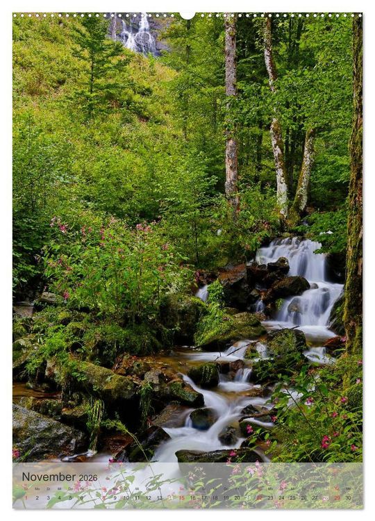 Produktbild: Alles im Fluss - Schwarzwaldwasser (hochwertiger Premium Wandkalender 2026 DIN A2 hoch), Kunstdruck in Hochglanz