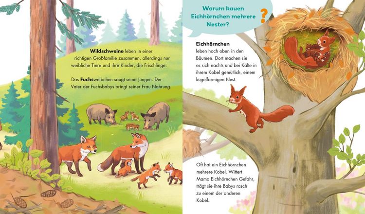 Produktbild: Unkaputtbar: Frag doch mal die Maus: Tiere und ihre Familien