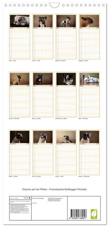 Produktbild: Familienplaner 2027 - Charme auf vier Pfoten - Franz&ouml;sische Bulldoggen Portraits mit 5 Spalten (Wandkalender, 21 x 45 cm) CALVENDO