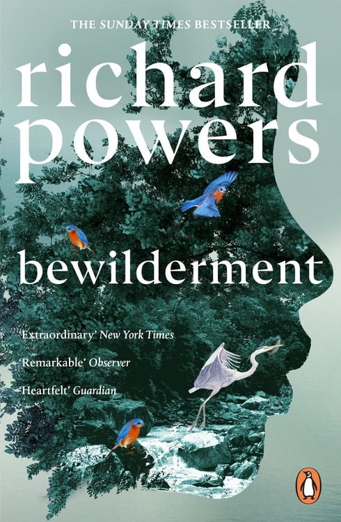 Produktbild: Bewilderment