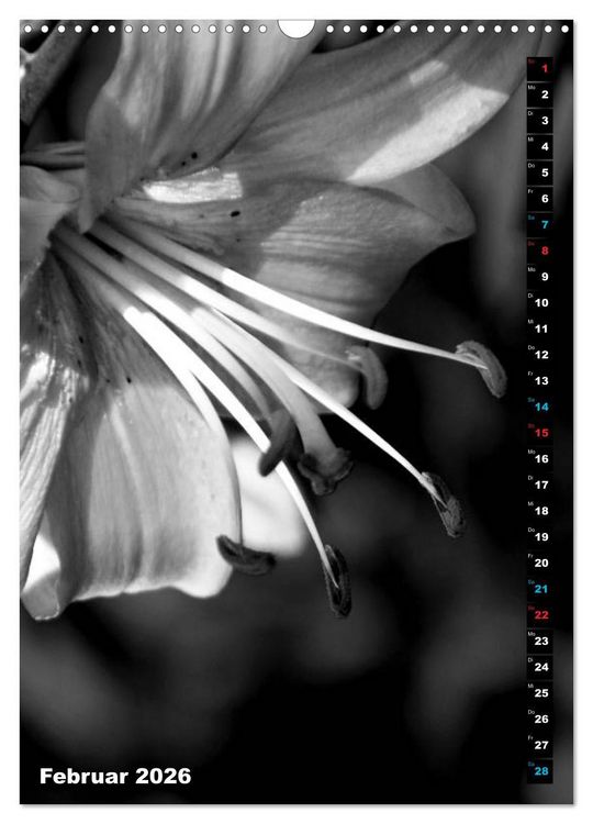 Produktbild: Blumige Graustufen - Schwarz und Wei&szlig; (Wandkalender 2026 DIN A3 hoch), CALVENDO Monatskalender