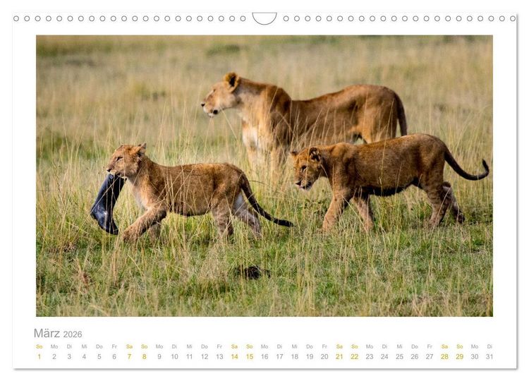 Produktbild: Ein L&auml;cheln f&uuml;r die Tierwelt (Wandkalender 2026 DIN A3 quer), CALVENDO Monatskalender