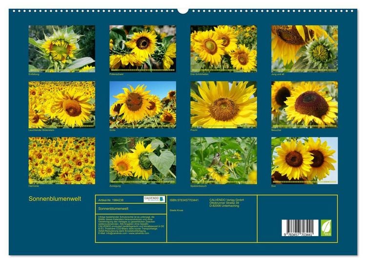 Produktbild: Sonnenblumenwelt (hochwertiger Premium Wandkalender 2026 DIN A2 quer), Kunstdruck in Hochglanz