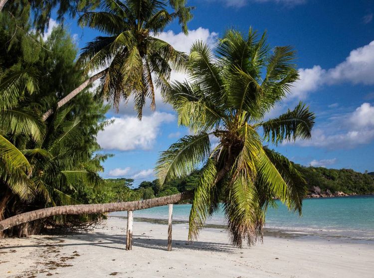 Produktbild: CALVENDO Puzzle anse volbert, praslin | 2000 Teile Lege-Gr&ouml;&szlig;e 90 &times; 67 cm Foto-Puzzle f&uuml;r gl&uuml;ckliche Stunden