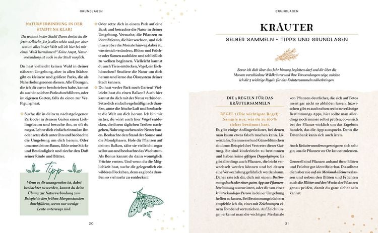 Produktbild: Zaubernuss und Waldmagie &ndash; Naturmomente f&uuml;r deine Seele