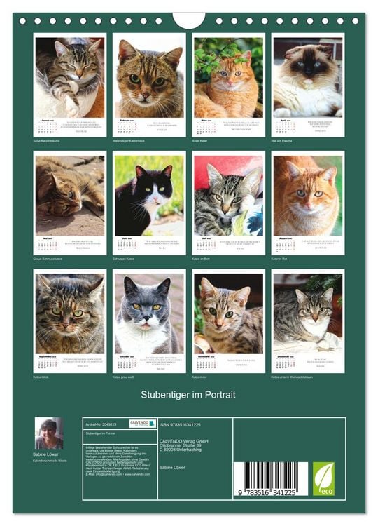 Produktbild: Stubentiger im Portrait (Wandkalender 2026 DIN A4 hoch), CALVENDO Monatskalender