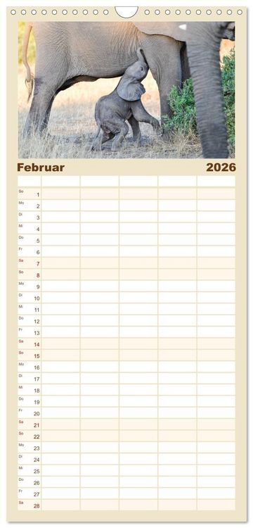 Produktbild: Familienplaner 2026 - Babyelefanten mit 5 Spalten (Wandkalender, 21 x 45 cm) CALVENDO