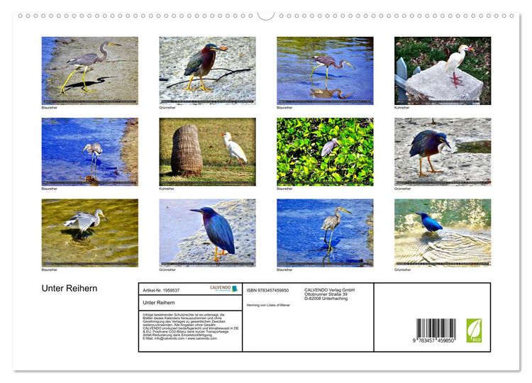 Produktbild: Unter Reihern (hochwertiger Premium Wandkalender 2026 DIN A2 quer), Kunstdruck in Hochglanz