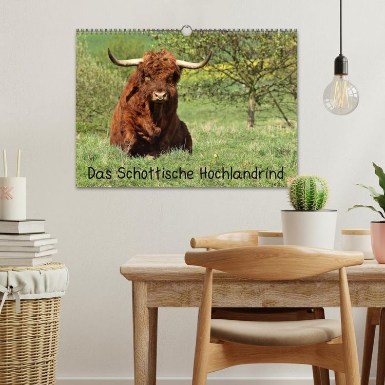 Produktbild: Das Schottische Hochlandrind (Wandkalender 2026 DIN A3 quer), CALVENDO Monatskalender