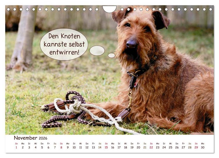 Produktbild: Frei Schnauze 2026. Was Hunde am liebsten sagen w&uuml;rden (Wandkalender 2026 DIN A4 quer), CALVENDO Monatskalender