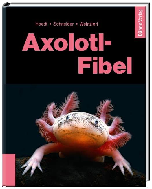 Produktbild: Axolotl-Fibel