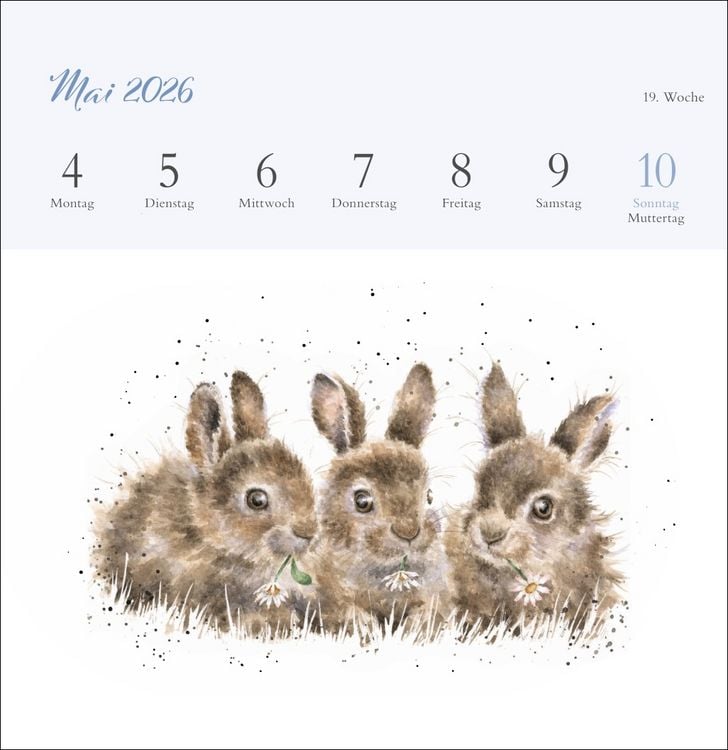 Produktbild: Hannah Dale: Happy Animals Premium-Postkartenkalender 2026