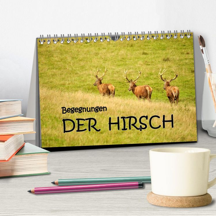 Produktbild: Begegnungen. DER HIRSCH (Tischkalender 2026 DIN A5 quer), CALVENDO Monatskalender