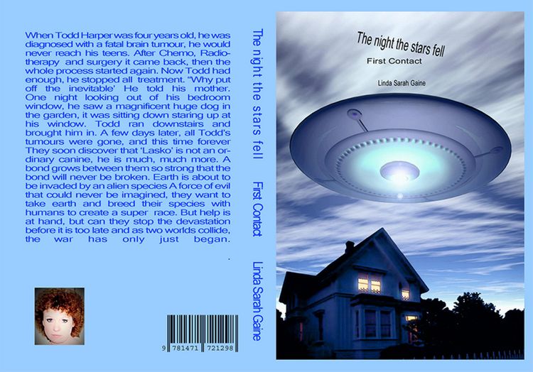Produktbild: The night the stars fell