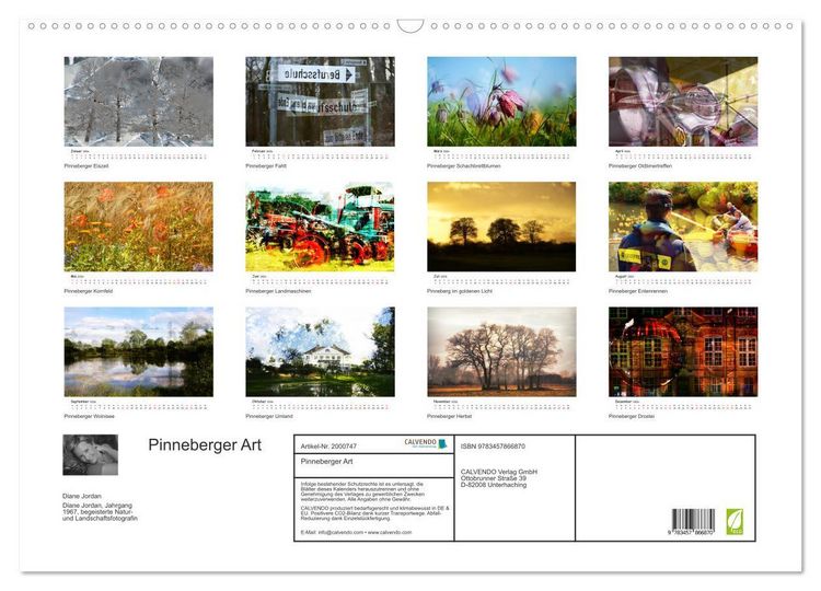Produktbild: Pinneberger Art (Wandkalender 2026 DIN A2 quer), CALVENDO Monatskalender