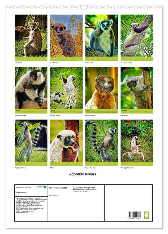 Produktbild: Adorable lemurs (Wall Calendar 2026 DIN A2 portrait), CALVENDO 12 Month Wall Calendar