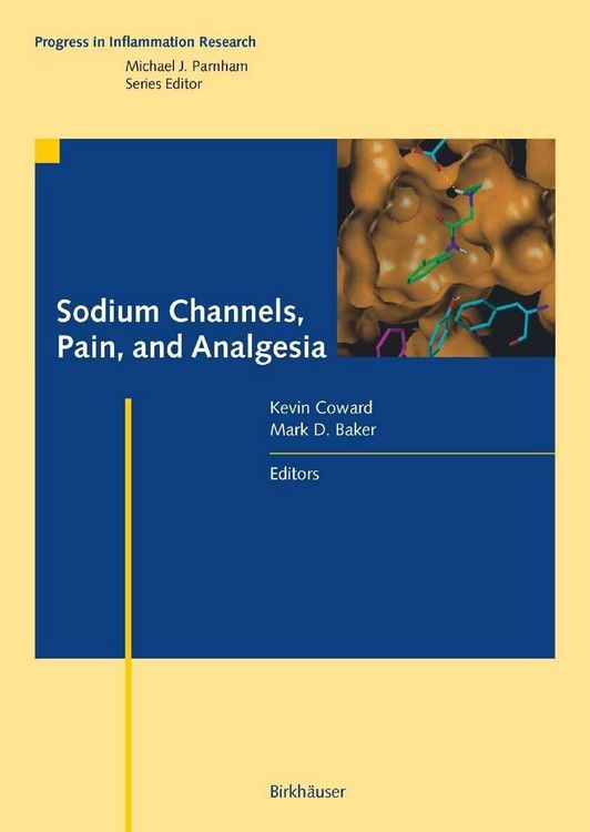 Produktbild: Sodium Channels, Pain, and Analgesia