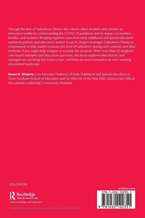 Produktbild: Interpreting COVID-19 Through Turbulence Theory