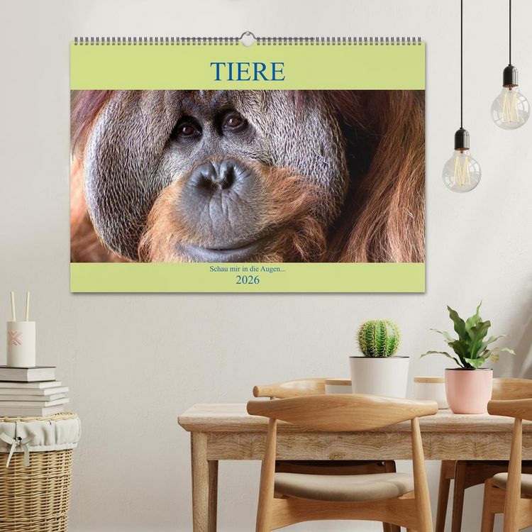 Produktbild: Tiere Schau mir in die Augen (Wandkalender 2026 DIN A2 quer), CALVENDO Monatskalender