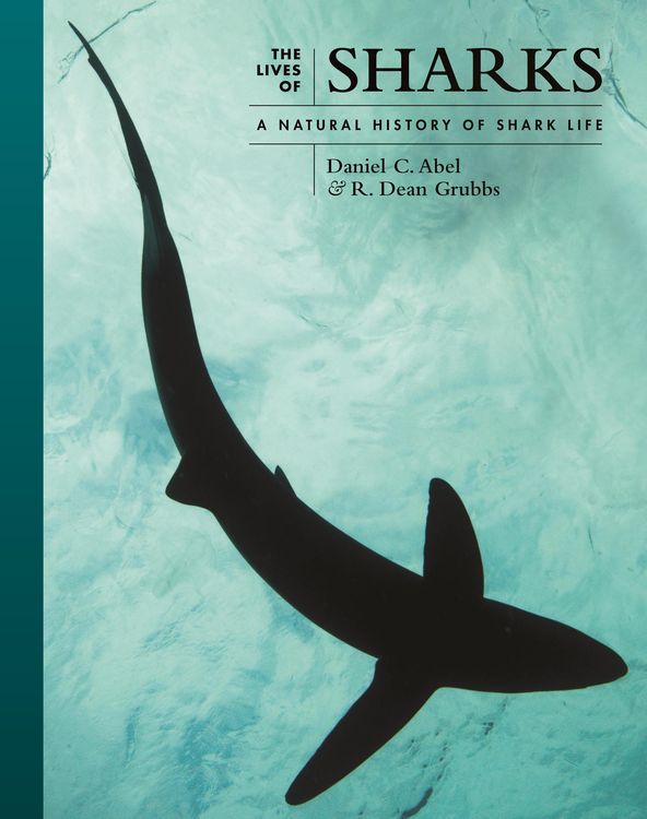 Produktbild: The Lives of Sharks