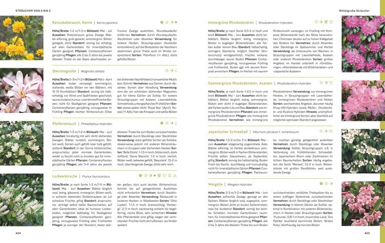 Produktbild: Das gro&szlig;e Praxishandbuch Garten