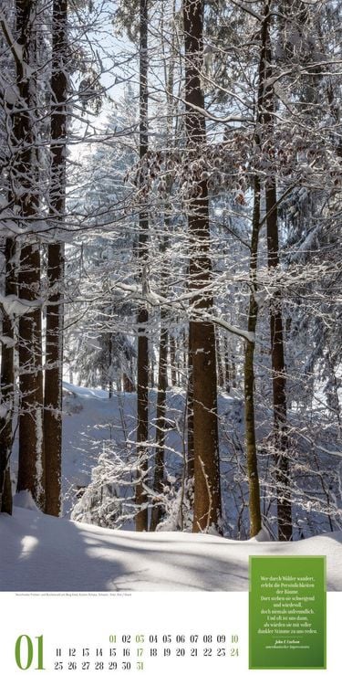 Produktbild: Mythos Wald Literatur-Kalender 2027