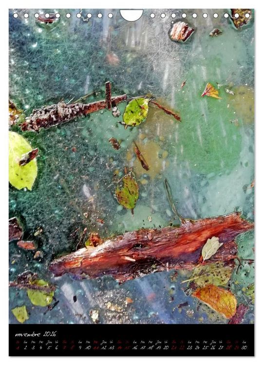 Produktbild: Surnaturel (Calendrier mural 2026 DIN A4 horizontal), CALVENDO calendrier mensuel