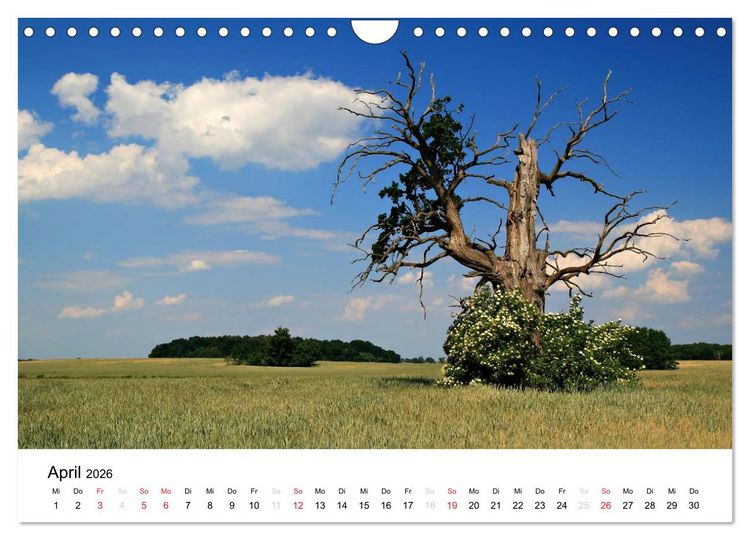 Produktbild: Landschaften (Wandkalender 2026 DIN A4 quer), CALVENDO Monatskalender